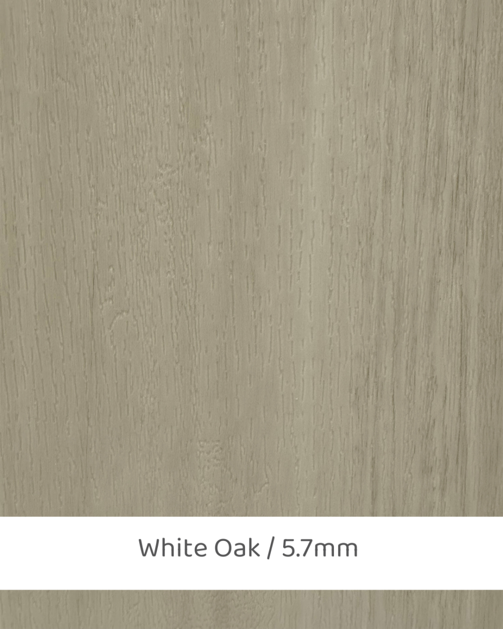 In House | SPC WP Collection 5.7mm | White Oak |