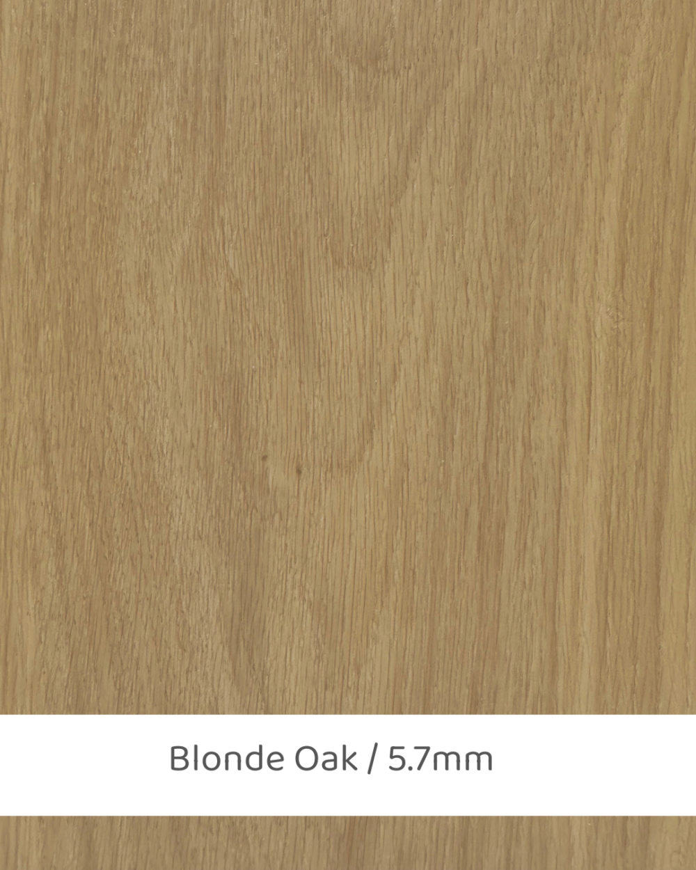 In House | SPC WP Collection 5.7mm | Blonde Oak |